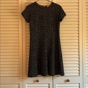 Knit Leopard Print business casual dress